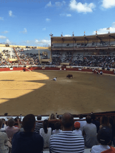 Crowd Watching Bullfight In Stadium Saying A GIF