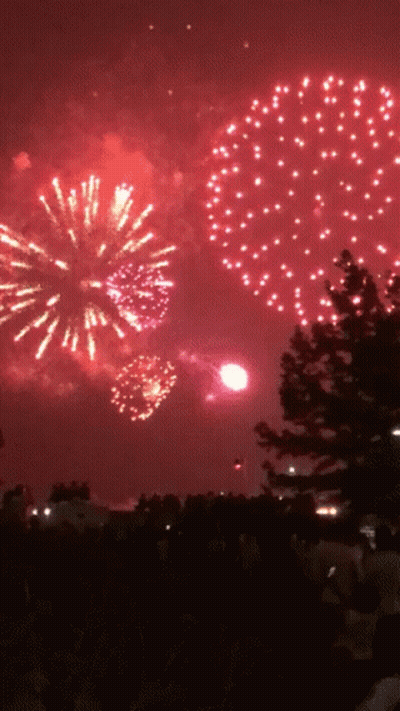 Crowd Watching Fireworks Display GIF