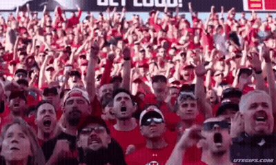 Crowd Watching Football Game With Arms In Air GIF