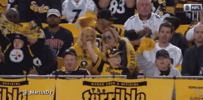 Crowd Watching Football Game With The Incredible Banner GIF