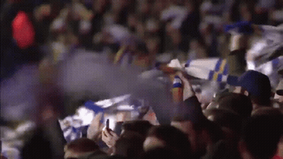 Crowd Watching Game Holding Up Flags GIF