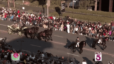 Crowd Watching Parade With KTLA 5 Sign GIF