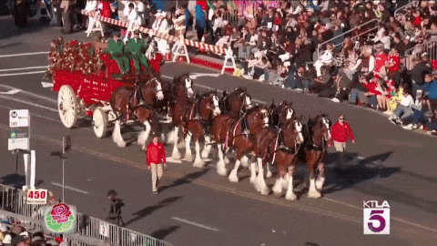 Crowd Watching Parade With KTLA 5 Sign GIF