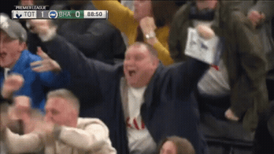 Crowd Watching Premier League Match GIF