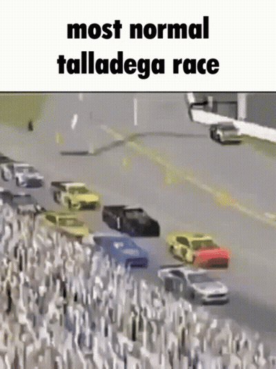 Crowd Watching Race Most Normal Talladega GIF
