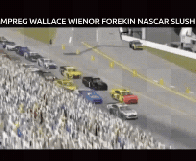 Crowd Watching Race Mpreg Wallace Wienor Forekin Nascar Slugs GIF