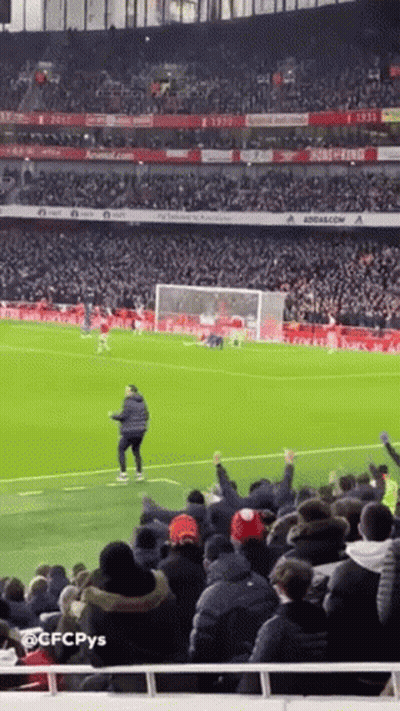 Crowd Watching Soccer Game In Emirates Stadium GIF