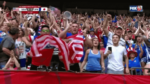 Crowd Watching Soccer Game With Fox GIF