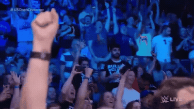Crowd Watching Wrestling Match On TV GIF
