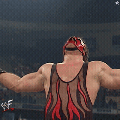 Crowd Watching Wrestling Match WWE GIF