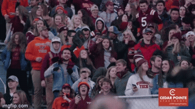 Crowd Wearing Jersey With Number 5 GIF