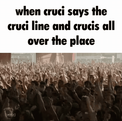 Crowd With Arms Up Cruci Line GIF