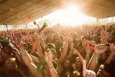 Crowd With Hands In Air At Music Festival GIF