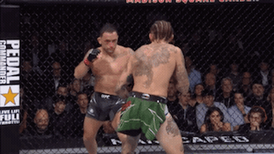 Crowd With Take The Spirit Of Tebow Into Your Hearts GIF