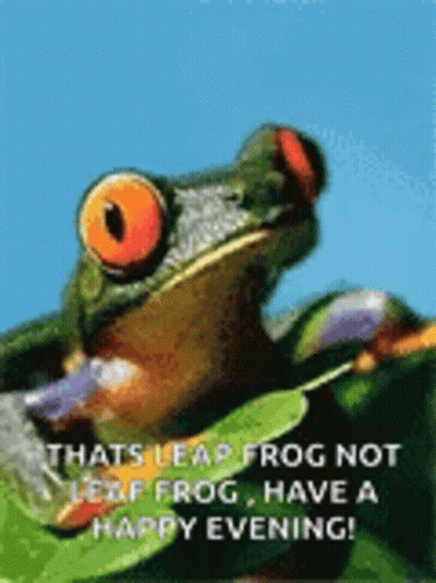 Crowned Frog Standing On Hind Legs In Grass GIF