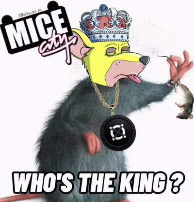 Crowned Rat Asking Who's The King GIF