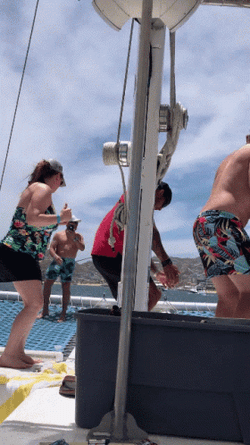 Cruise Ship Happy Dance GIF