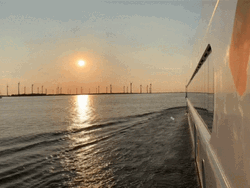 Cruise Ship Sunset Ocean Travel GIF