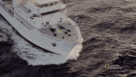 Cruising Back To The Titanic GIF