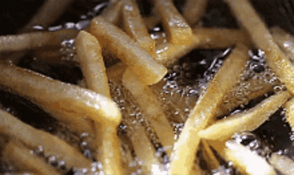 Crunchy And Delicious French Fry GIF