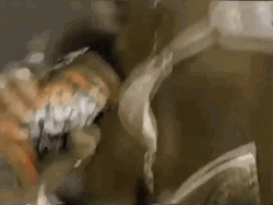 Crushing It Soda Can GIF