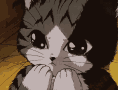 Crying Anime Cute Cat