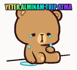 Crying Bear Yeter Alminam Trip Atma GIF