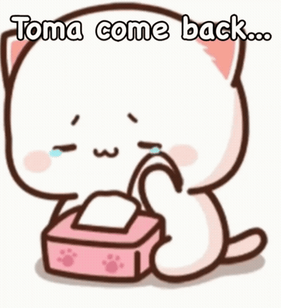 Crying Cat Holding Tissues Says Toma Come Back GIF