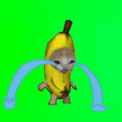 Crying Cat In Banana Costume GIF