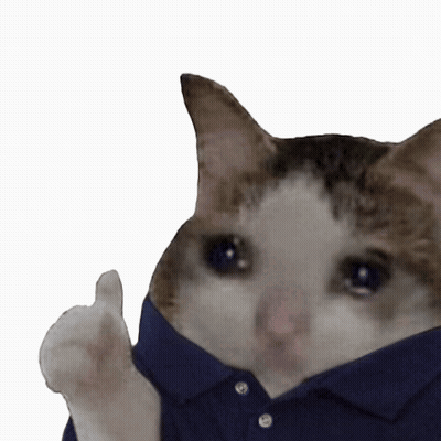 Crying Cat In Blue Shirt Thumbs Up GIF