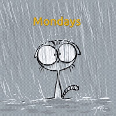 Crying Cat In Rain With Mondays GIF