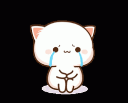 Crying Cat Looking Up GIF