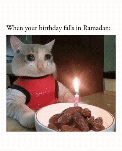 Crying Cat With Bowl Of Dates And Candle GIF