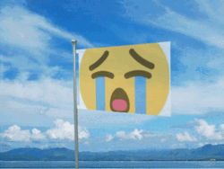 Crying Emoji In The Flag GIF