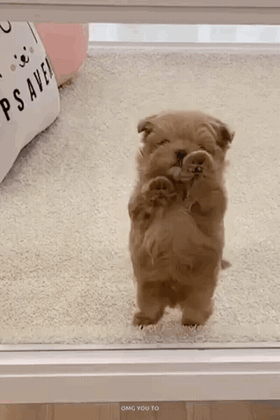 Crying Girl GIF