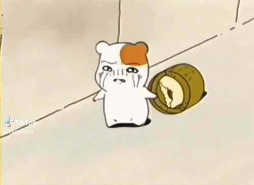 Crying Hamster TikTok GIF