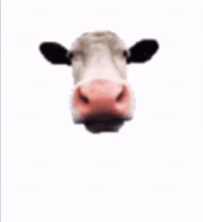 Crying Penguin In Water GIF