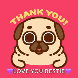 Crying Pug Thank You Love You GIF