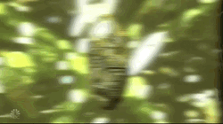 Cryptocurrency Bitcoin Coin  GIF