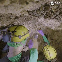 Crystal Noises Pangea GIF