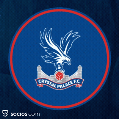 Crystal Palace F.C. Logo With Eagle GIF