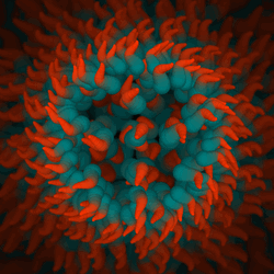 Cthulhu Tentacles Close Up Vector Art GIF