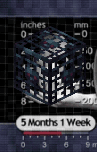 Cube In Cage Saying 5 Months 1 Week GIF