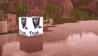 Cube With Two Faces Saying True GIF