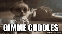 Cuddles GIF
