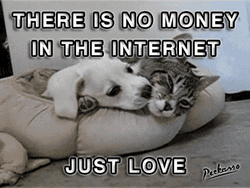 Cuddling Cat And Dog Funny Love GIF