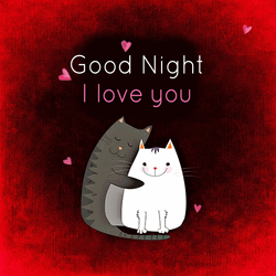 Cuddling Cats I Love You Good Night GIF
