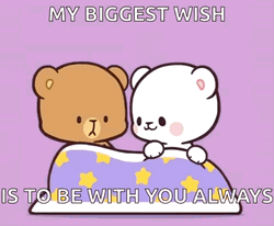 Cuddling Milk And Mocha Bear Biggest Wish GIF