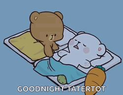 Cuddling Milk And Mocha Bear Goodnight Tatertot GIF