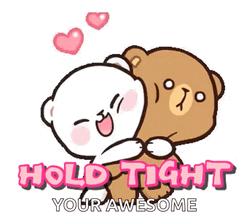 Cuddling Milk And Mocha Bear Hold Tight GIF